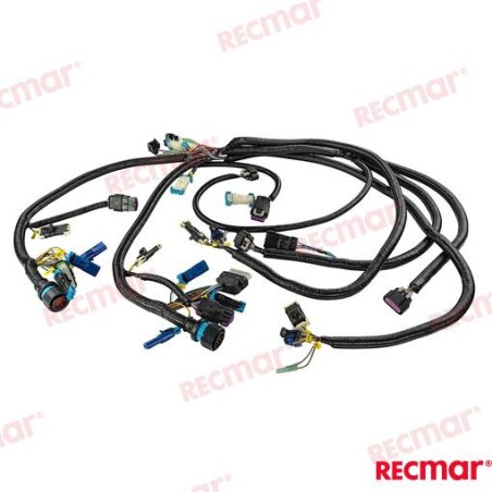 HARNESS
