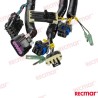 HARNESS