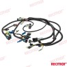 HARNESS