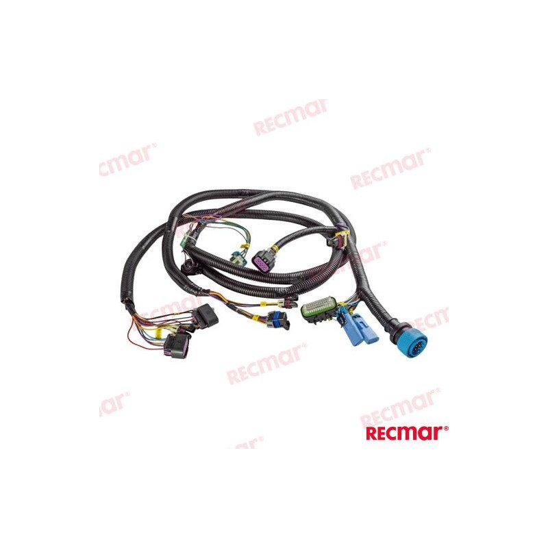 CABLEADO MÓDULO COMANDO SHADOW