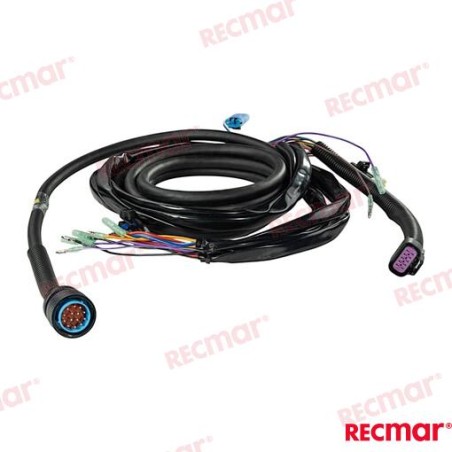 CABLE EXTENSIÓN DATOS DTS 15FT