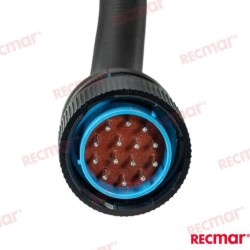 CABLE EXTENSIÓN DATOS DTS 15FT