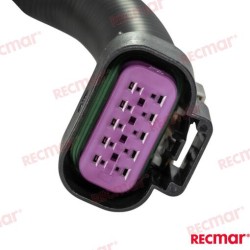 CABLE EXTENSIÓN DATOS DTS 15FT
