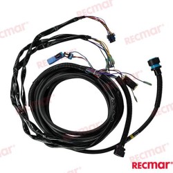 20FT EXTENSION