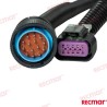 CABLE EXTENSIÓN DATOS DTS 20FT