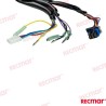 CABLE EXTENSIÓN DATOS DTS 20FT