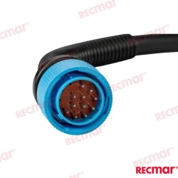 CABLEADO ADAPTADOR DTS 14PIN 12IN