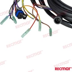 CABLEADO MANDO LATERAL SIN TRIM 15FT