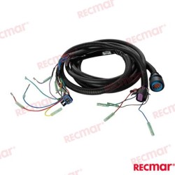 CABLEADO TRIM 14PIN 15FT