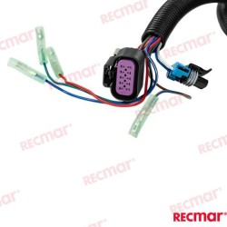 SINGLE 20FT PTT CONTROL