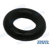 ANILLO TORICO