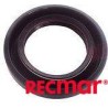 CRANKSHAFT UPPER SEAL