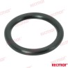 ANILLO TORICO