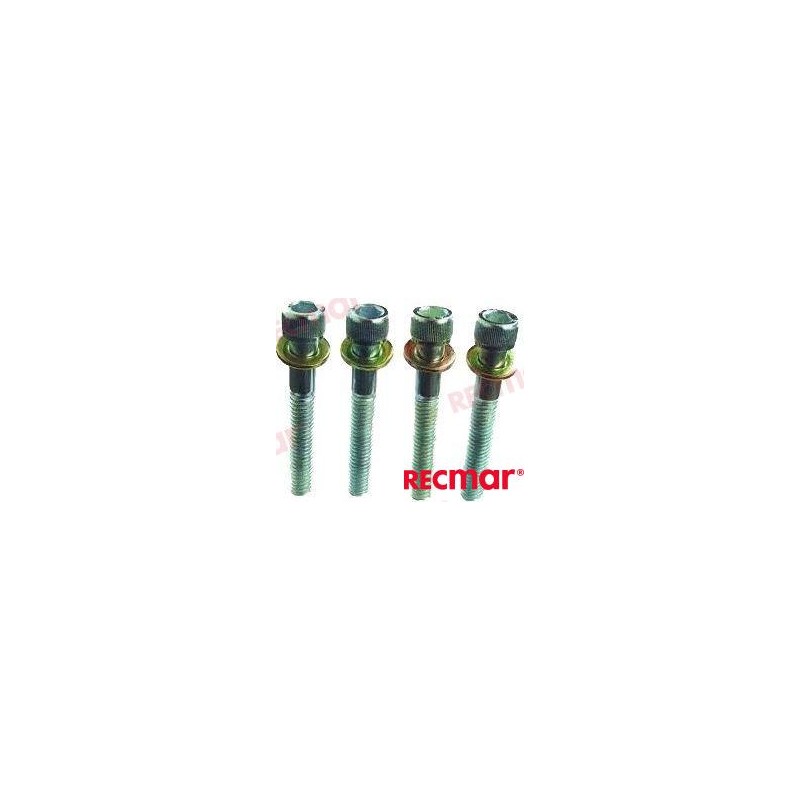 KIT 4 TAIL SCREWS