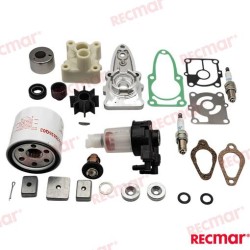 MERCURY MAINTENANCE KIT