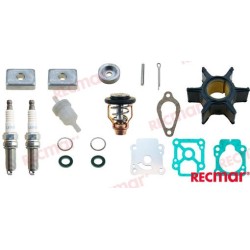 MERCURY MAINTENANCE KIT