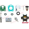 KIT MANTENIMIENTO MERCURY