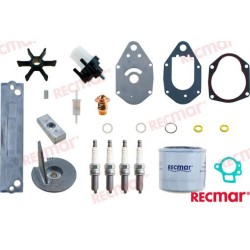 MERCURY MAINTENANCE KIT