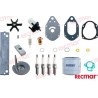 KIT MANTENIMIENTO MERCURY