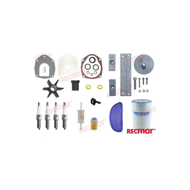 MERCURY MAINTENANCE KIT