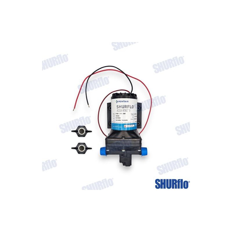 BOMBA A PRESION STANDARD 12V 45PSI