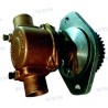 CUMMINS PUMP 4B 3927684