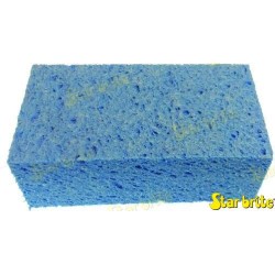 KLEINER SCHWAMM 20X11X7 CMS