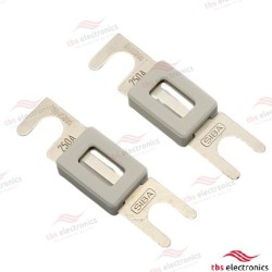 FUSE ANL 250A/80V M10 (SET OF 2PCS)