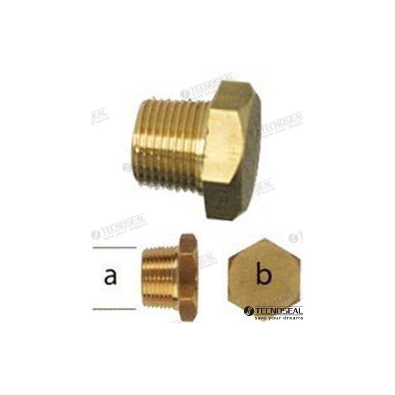 TAPON ANODO YANMAR ZINC TEN01318T