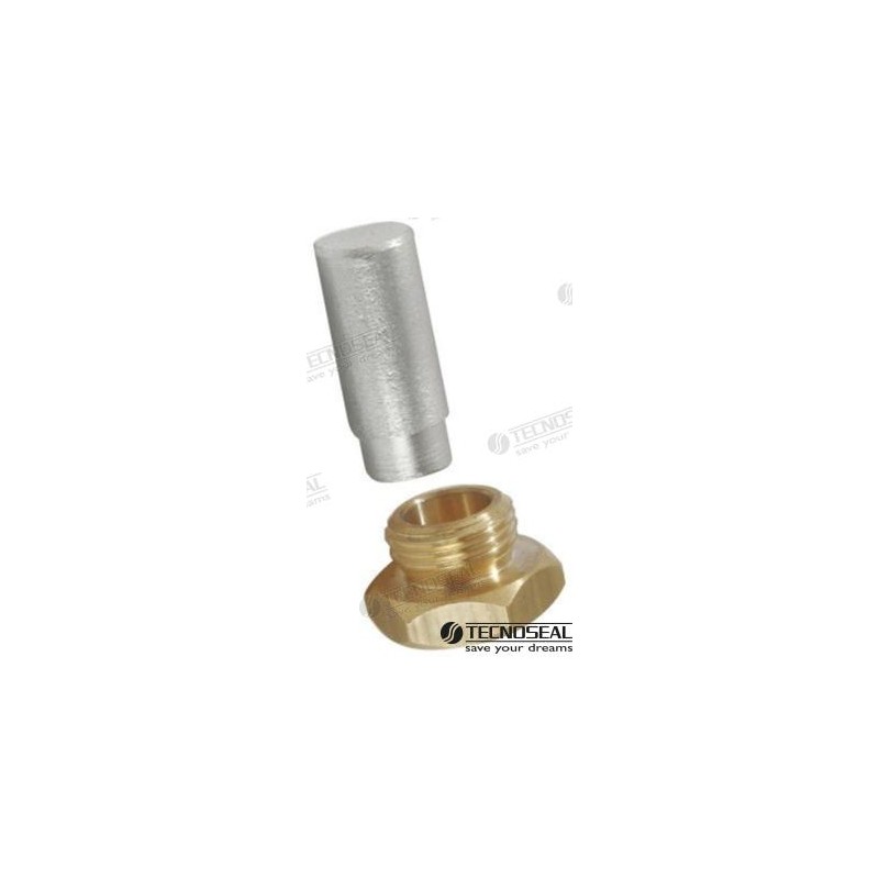 RENAULT ANODE MIT STECKER 18X1,5MM ZINK