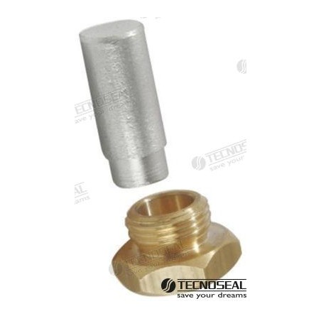 ANODO RENAULT C/TAPON 18X1,5MM ZINC
