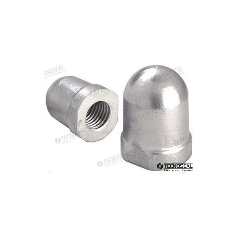 RENAULT ANODE 28-34MM ZINC