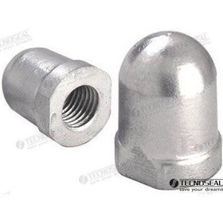 RENAULT ANODE 28-34MM ZINC