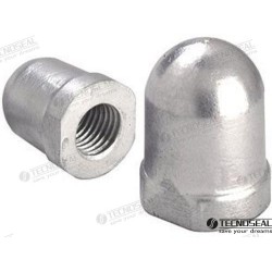 RENAULT ANODE 40MM ZINC