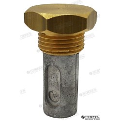 ANODO RENAULT C/TAPON