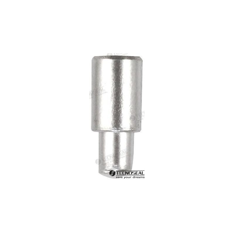 ANODO NANNI MERCEDES DIA 10MM TEN02100T