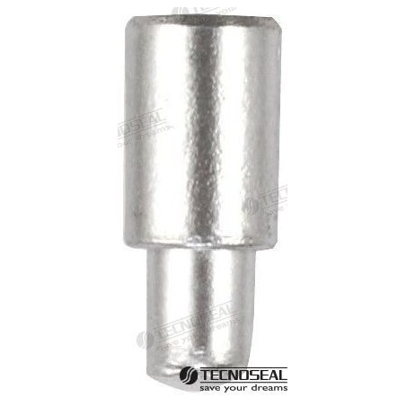 ANODO NANNI MERCEDES DIA 10MM TEN02100T