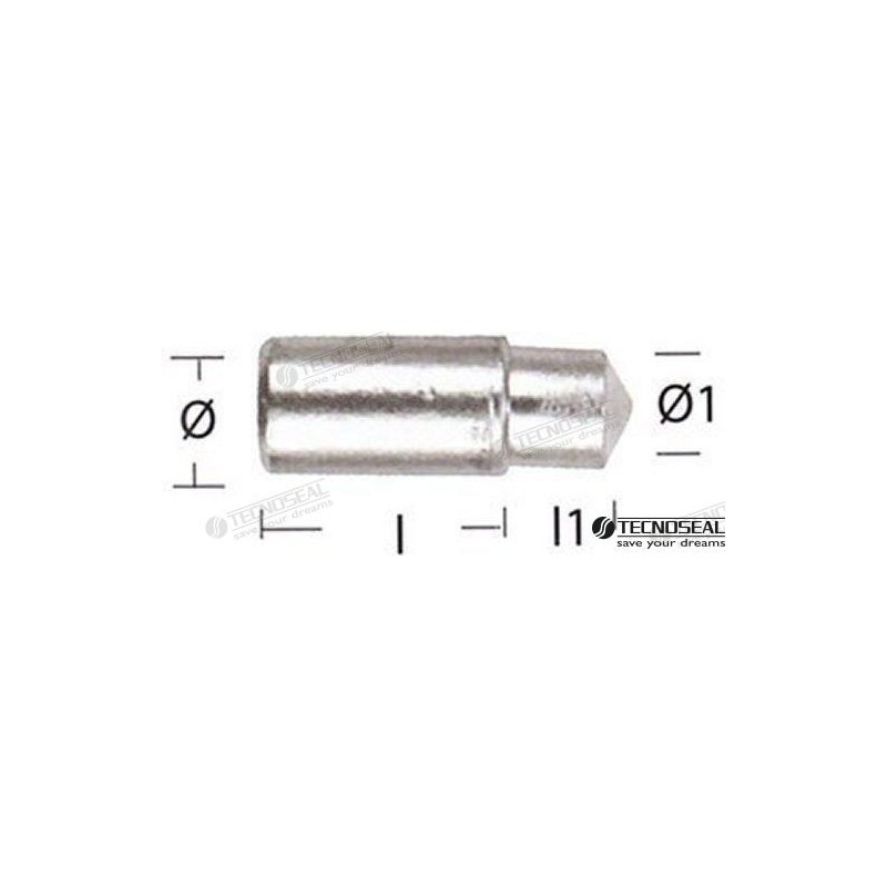 ANODO LOMBARDINI ZINC TEN02351T