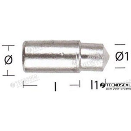 ANODO LOMBARDINI ZINC TEN02351T