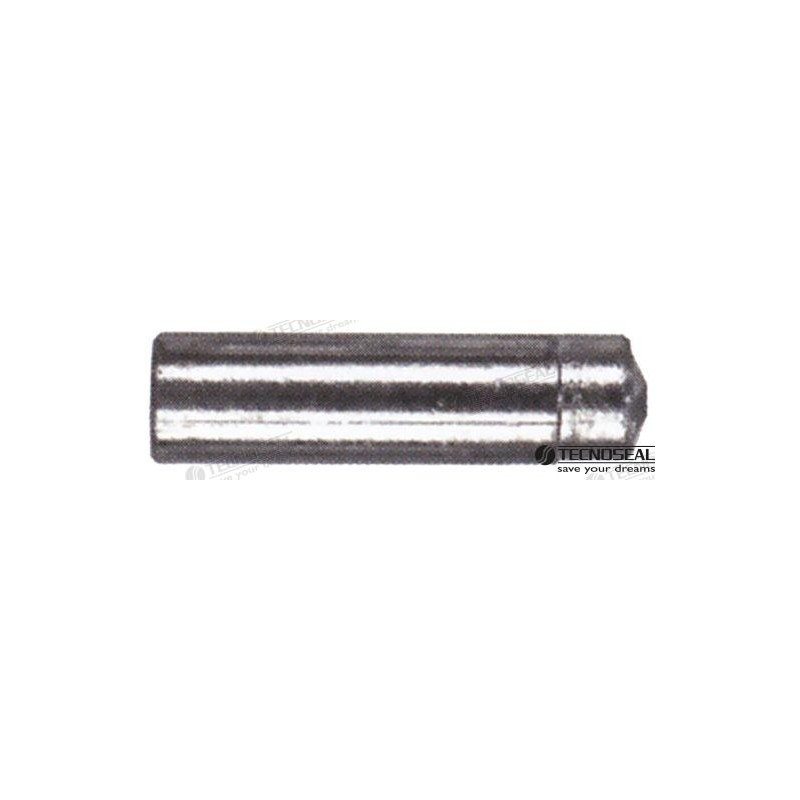 ANODO LOMBARDINI ZINC TEN02353T