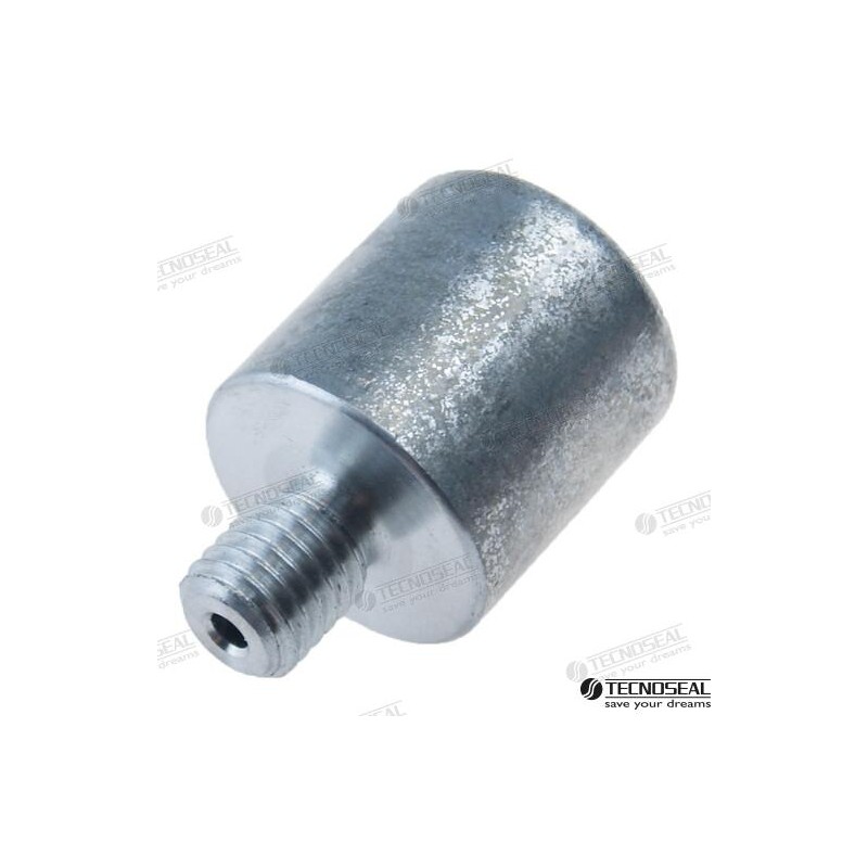 ANODO BARRA DIA 29