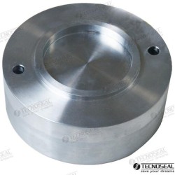 ANODO CANADOS 70 DIA 152
