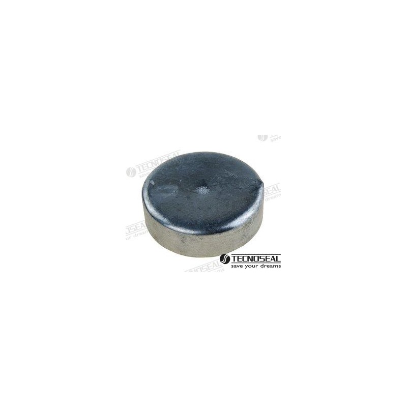 ANODO DISCO ZINC DIA 70MM 0,54KG