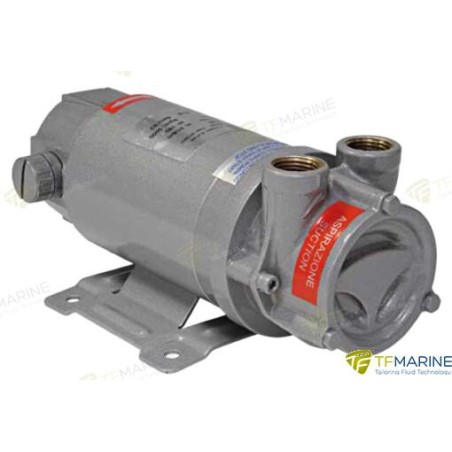 BOMBA AUTO-ASPIRANTE A 60 24V DC 0,18KW